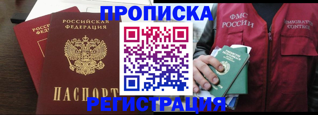прописка законно в Камышлове